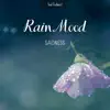 Sad Violinist - Rain Mood, Sadness